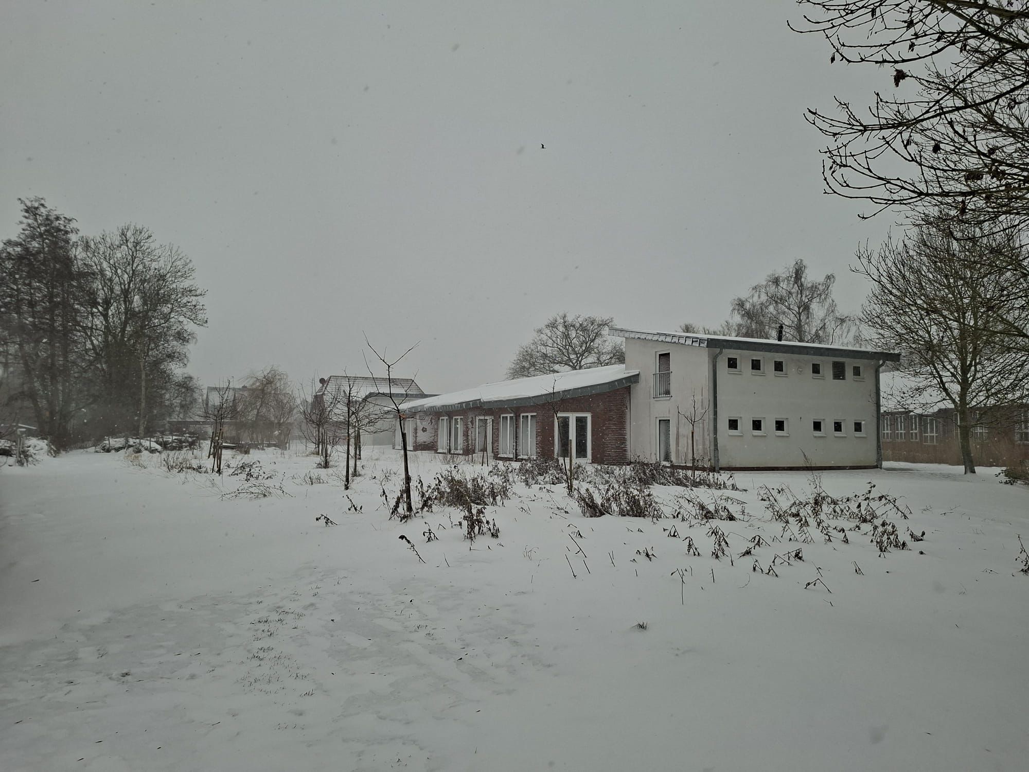 Endlich mal wieder Schnee!